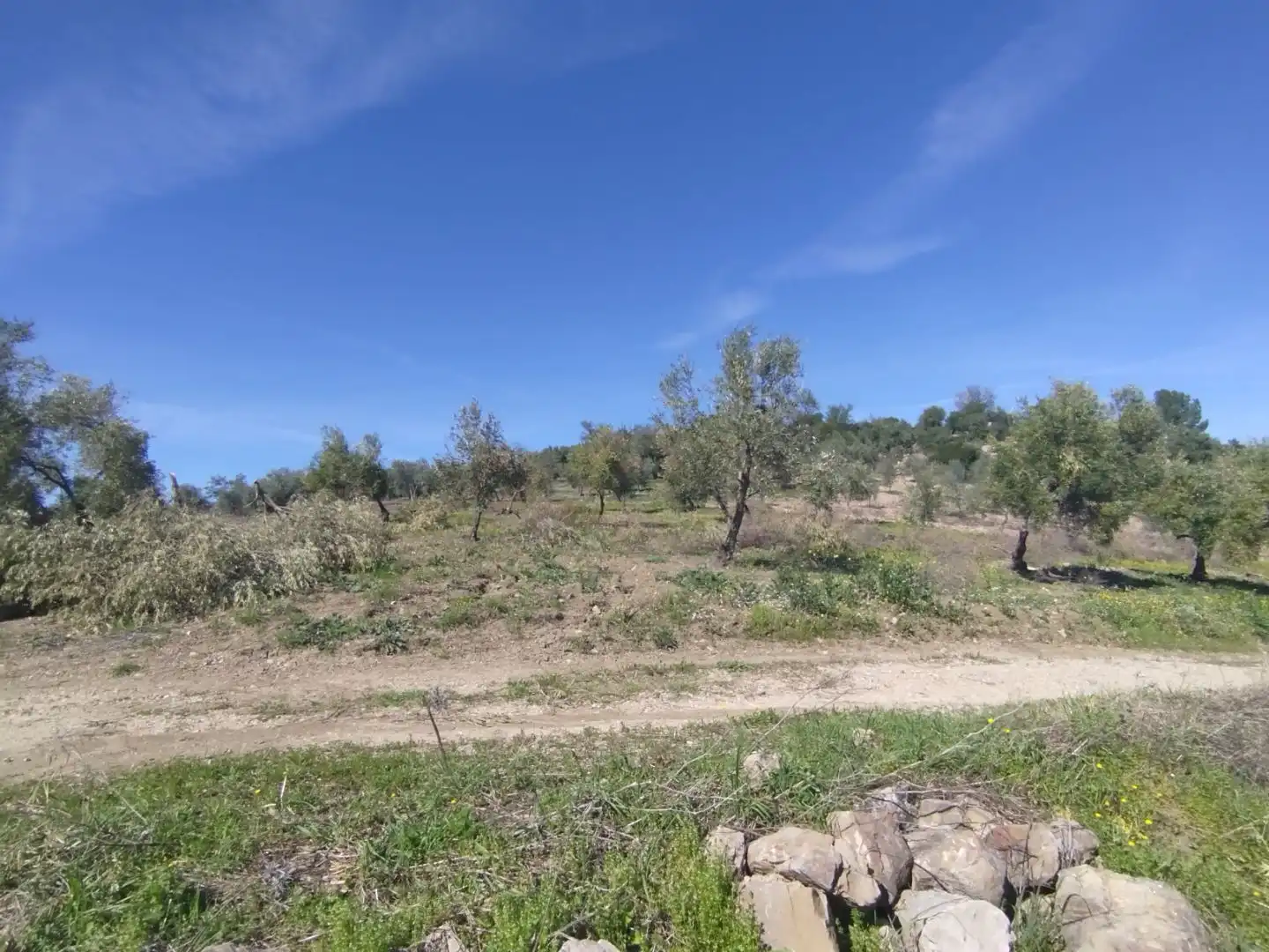 Terreno en venta en Olvera