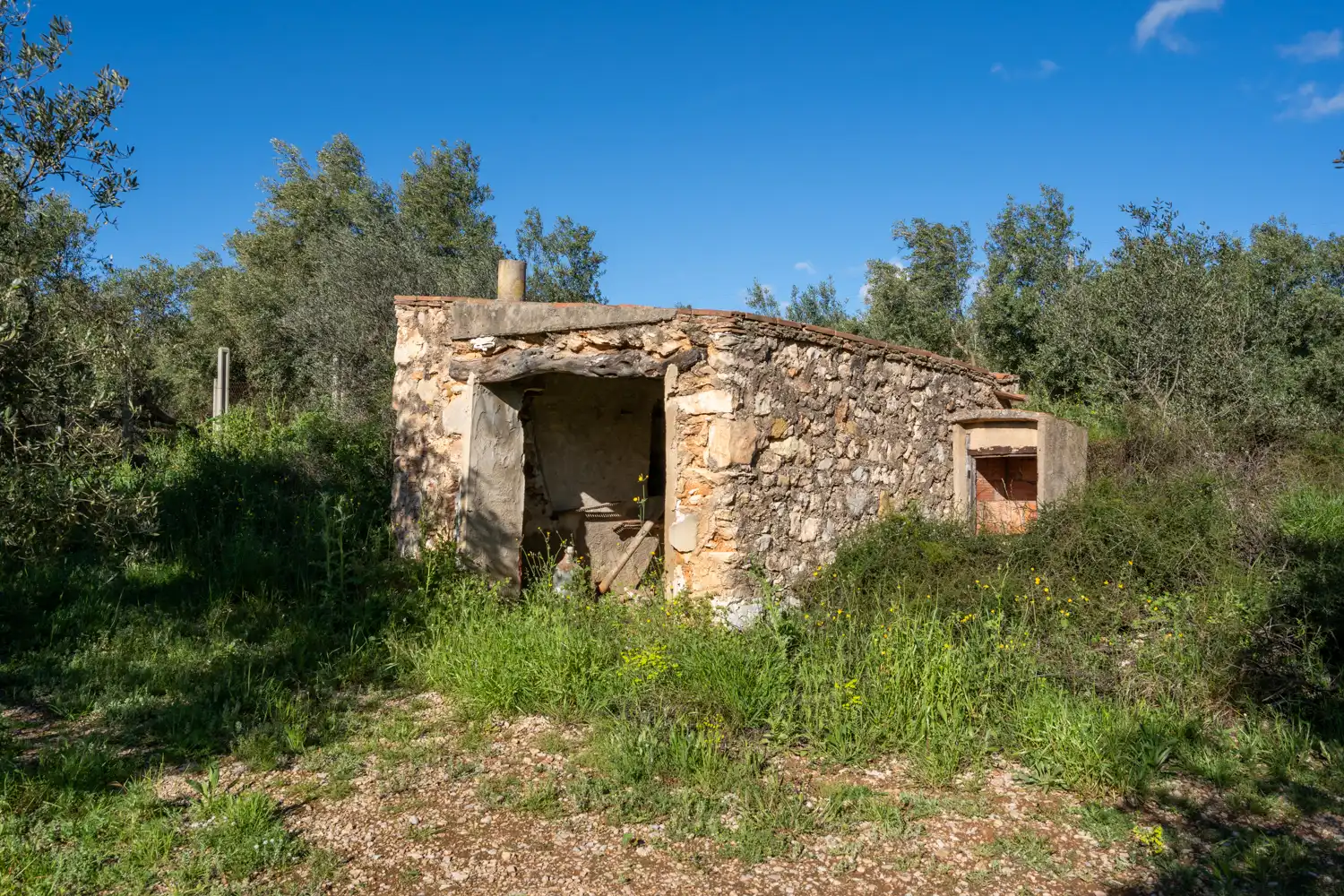 Vista exterior de Terreno en venta en Rossell, Castellón