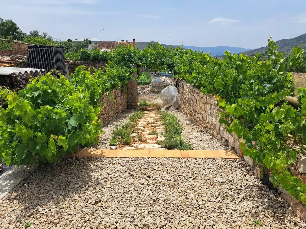 Jardín de Casa o chalet en venta en Pinet con Jardín privado