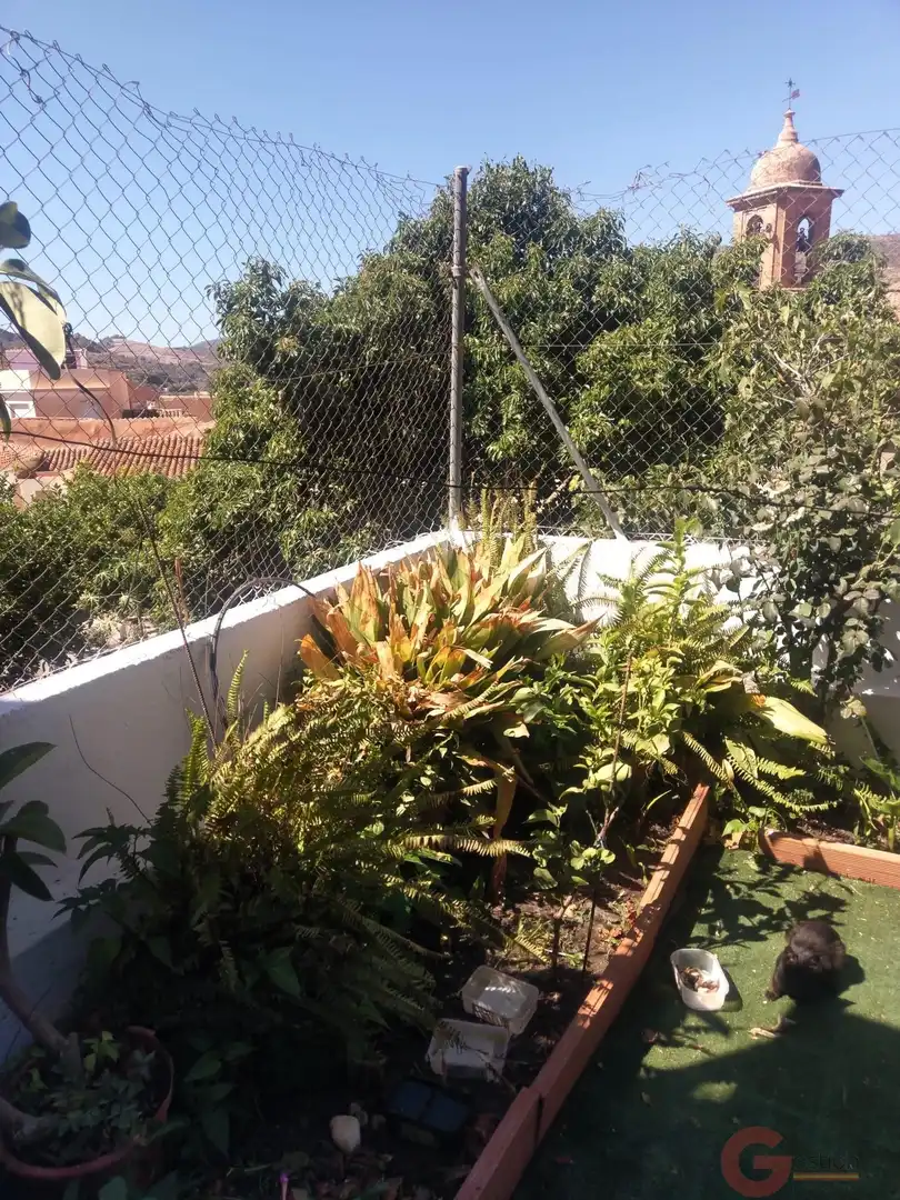 Maison à vendre à Vélez de Benaudalla, imagen 13