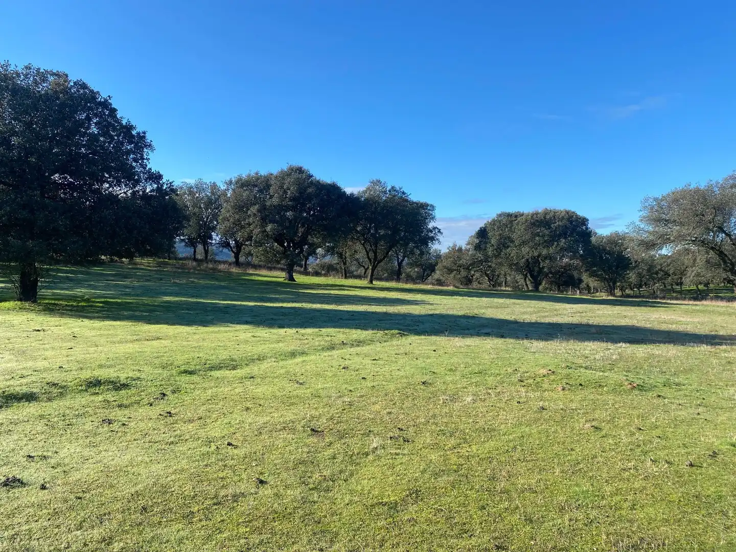 Finca rústica en venta en Buenaventura