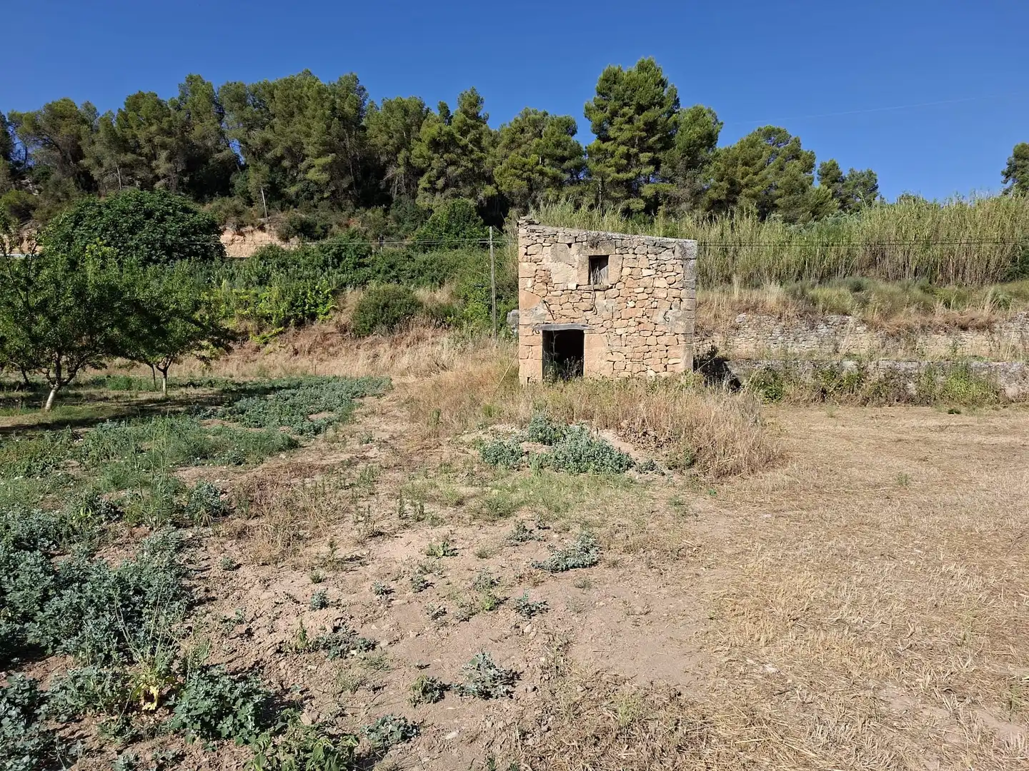 Finca rústica en venda en Mazaleón