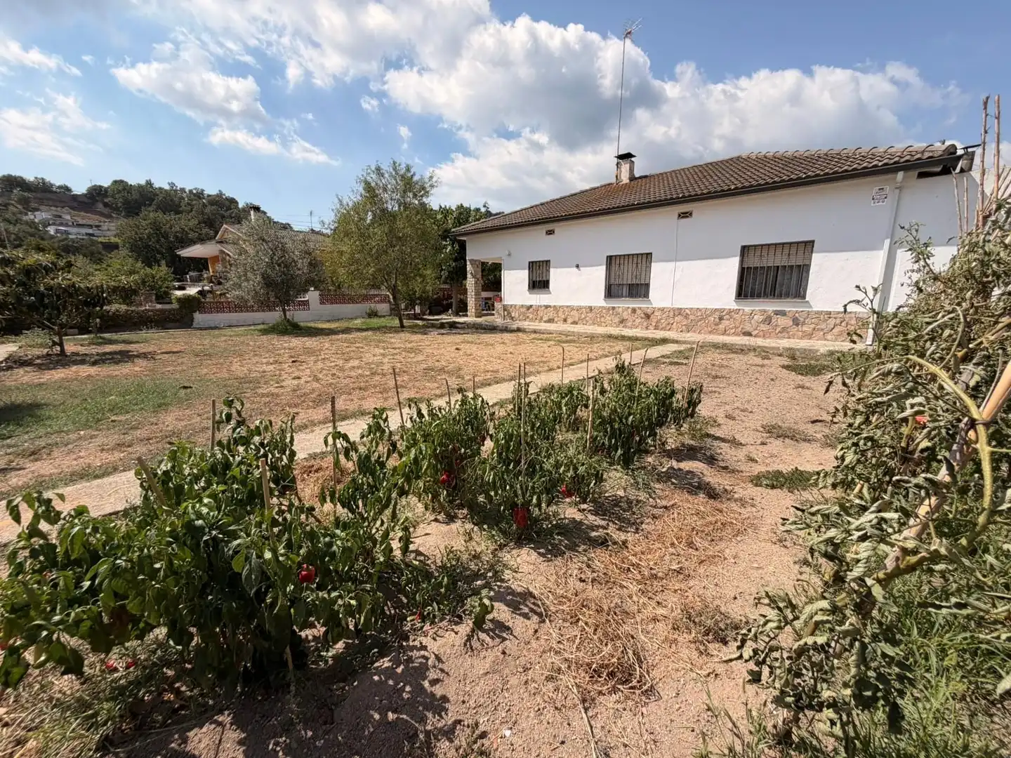 House with garden for sale in Niàgara Parc - Àgora Parc