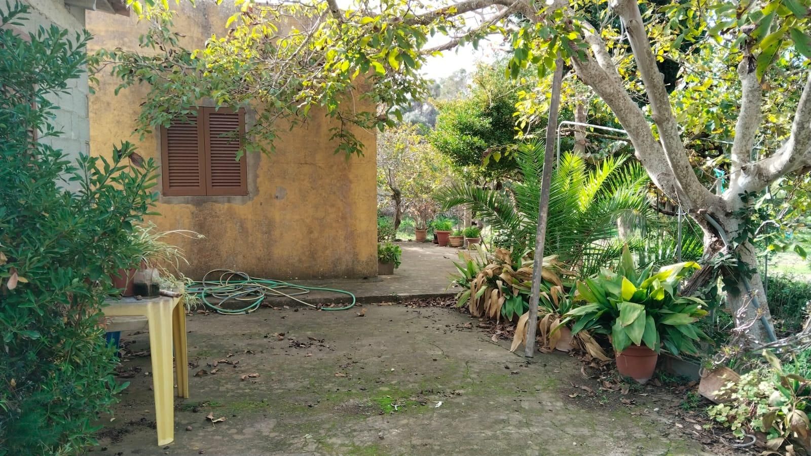 Jardí de Casa o xalet en venda en Felanitx