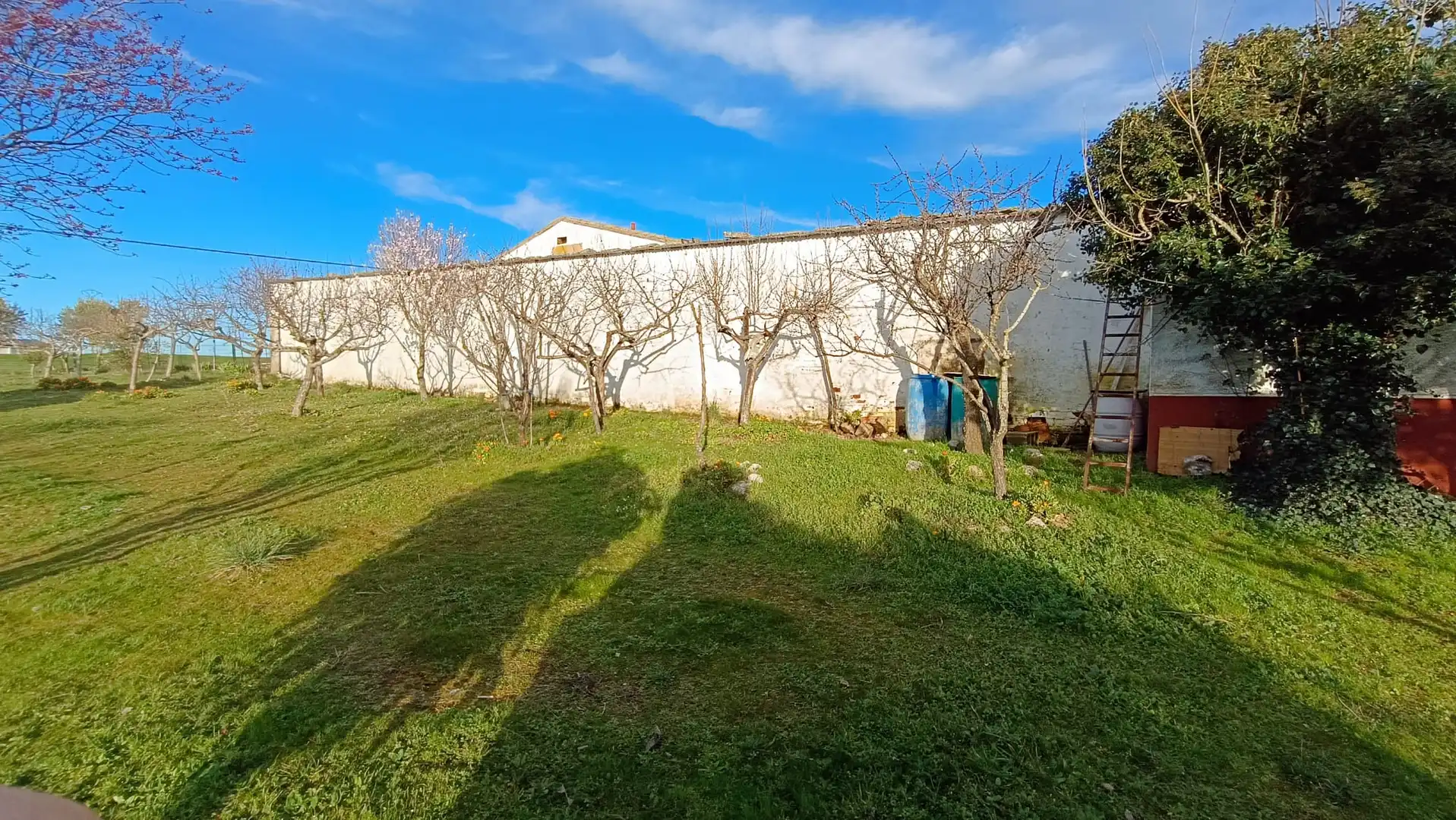 Rural land for sale in Paseo Rosales, imagen 22