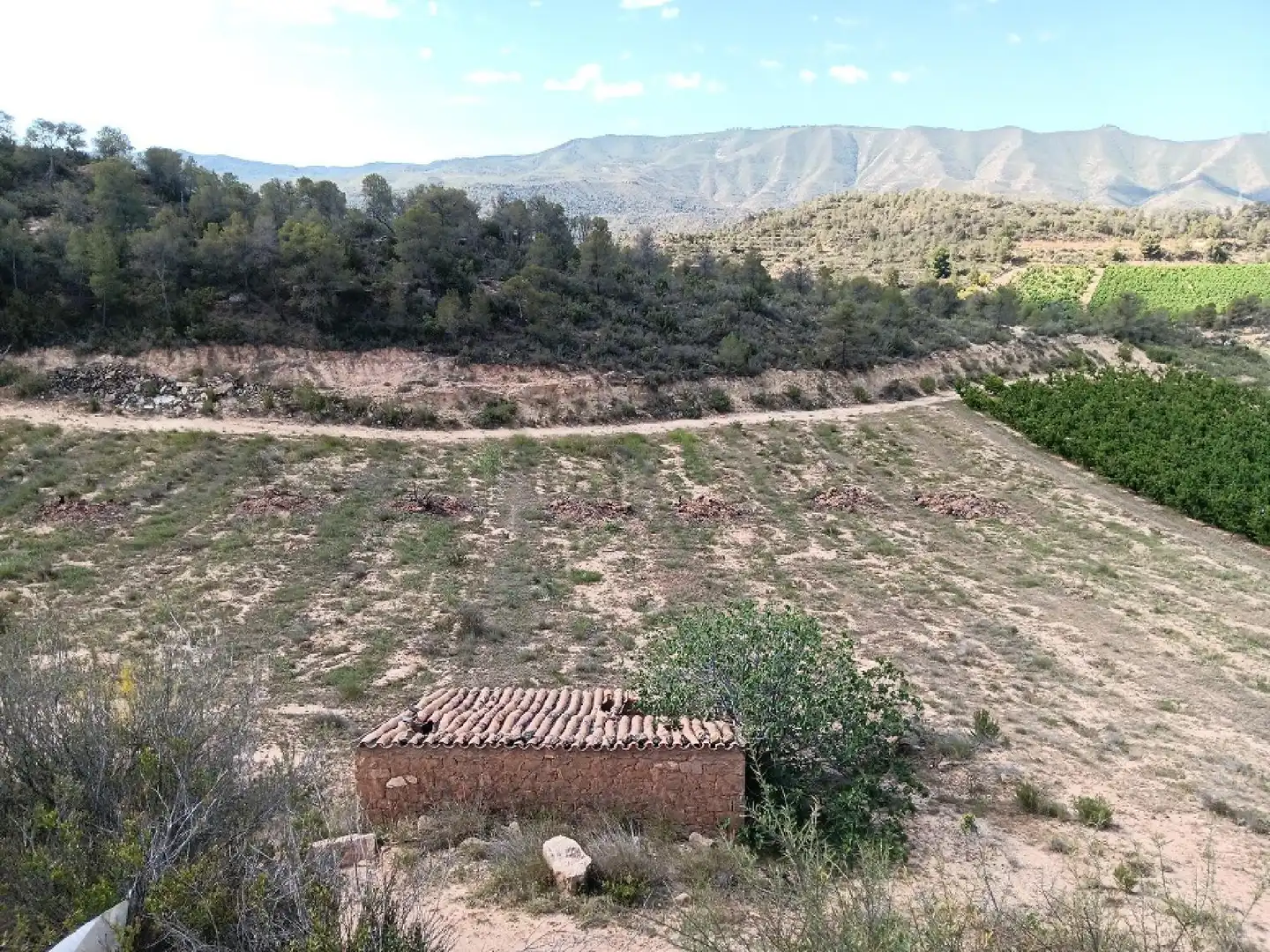 Terrain rustique à vendre à Riba-roja d'Ebre, imagen 2