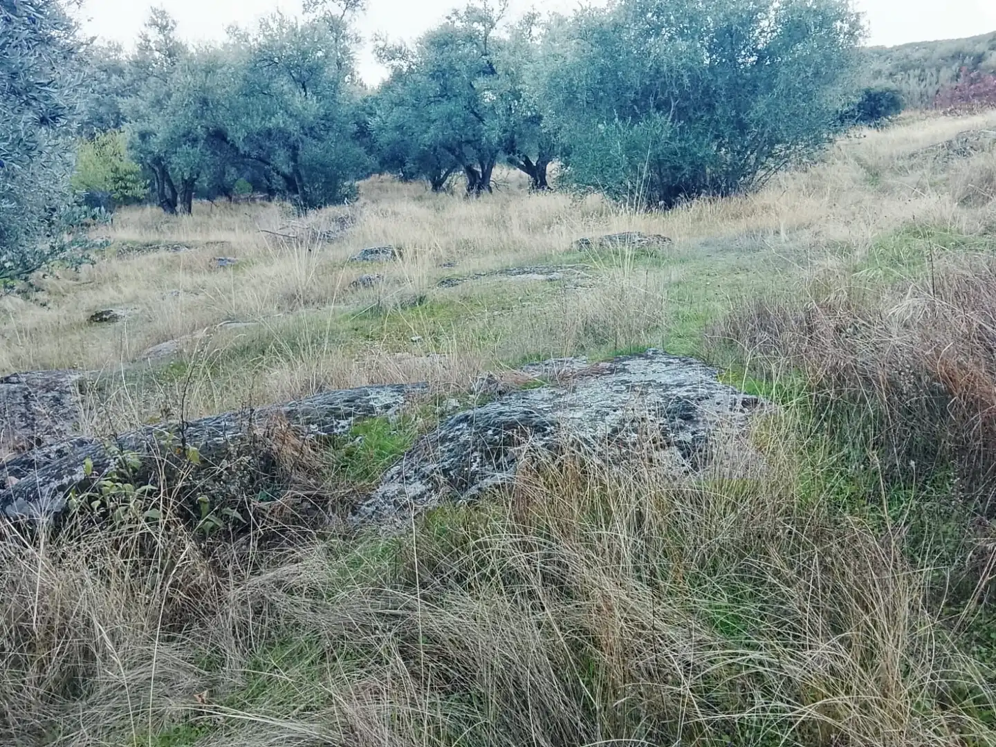 Terreni e lotti in vendita a El Hoyo de Pinares, imagen 9
