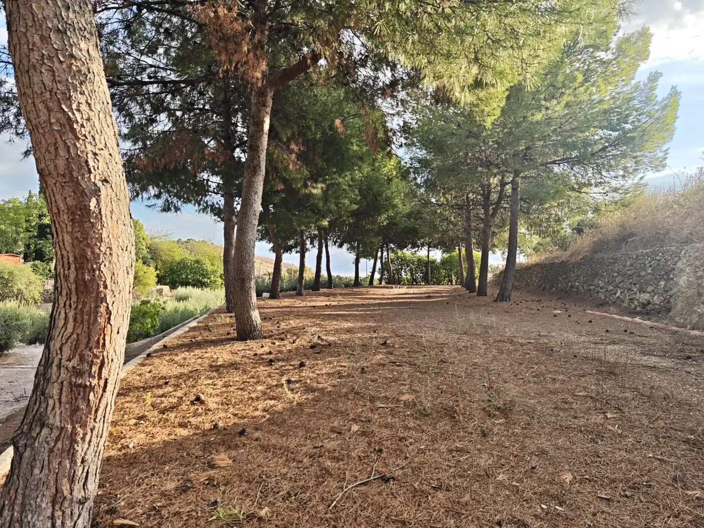 Villa avec piscine à vendre à Totana, imagen 45