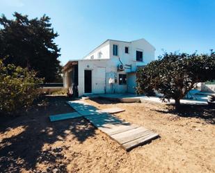 Vista exterior de Finca rústica en venda en Guardamar del Segura amb Terrassa