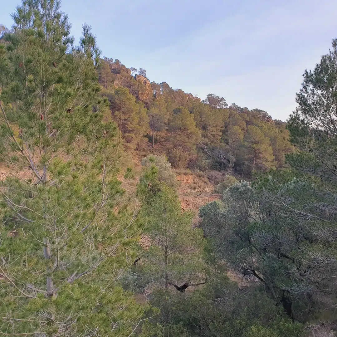 Rustikales Grundstück zum Verkauf in El Pinell de Brai, imagen 3