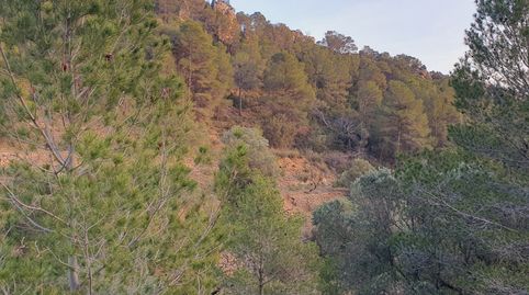 Suelo agrícola en venta en El Pinell de Brai, immagine 3