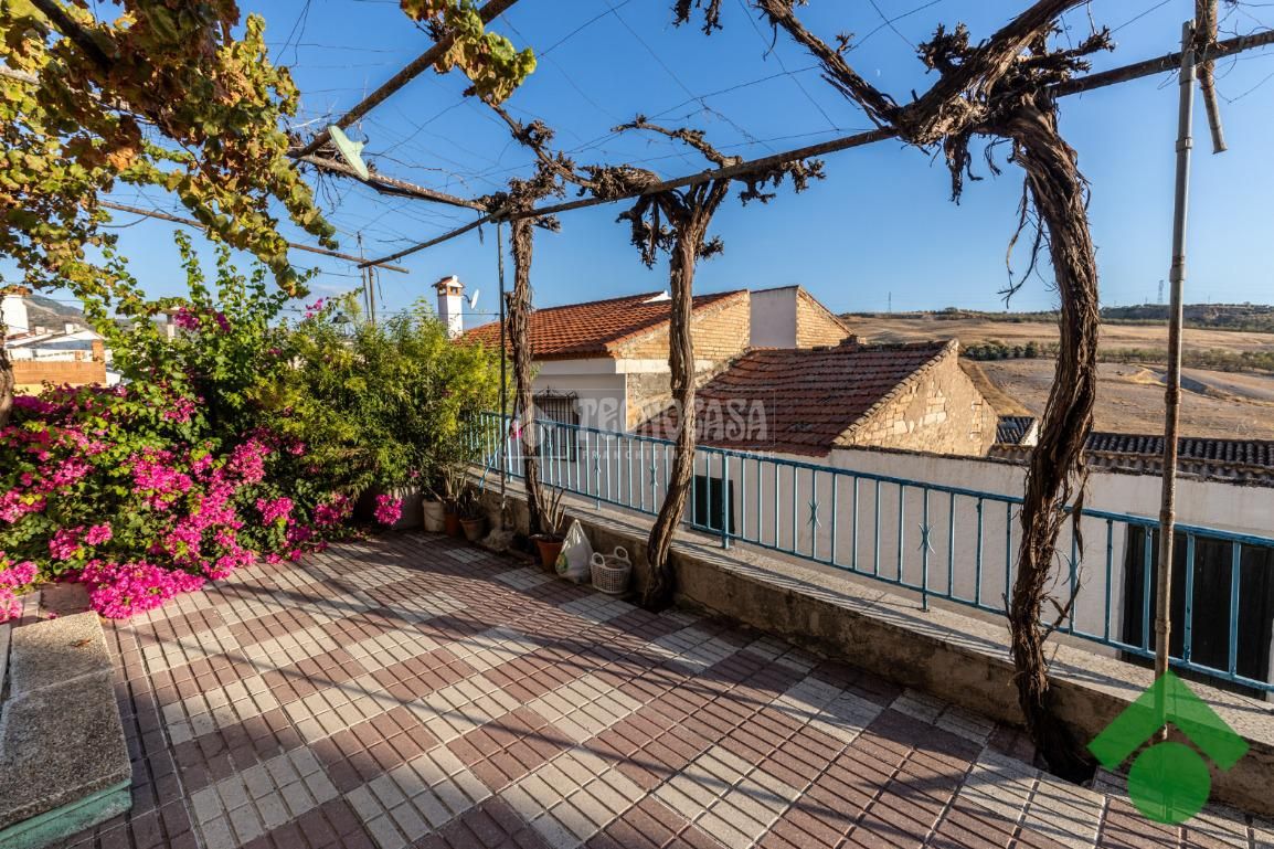 Terrace of House or chalet for sale in Calicasas
