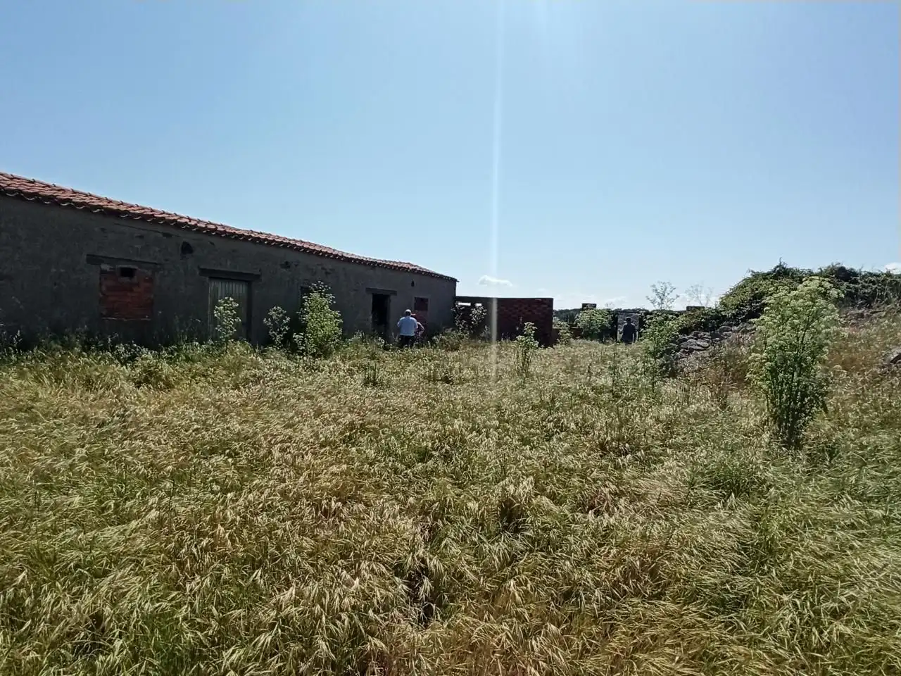 Terreni e lotti in vendita a Cardeñosa, imagen 6