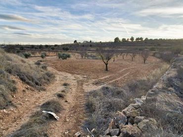 Terreno rustico in vendita a Yecla