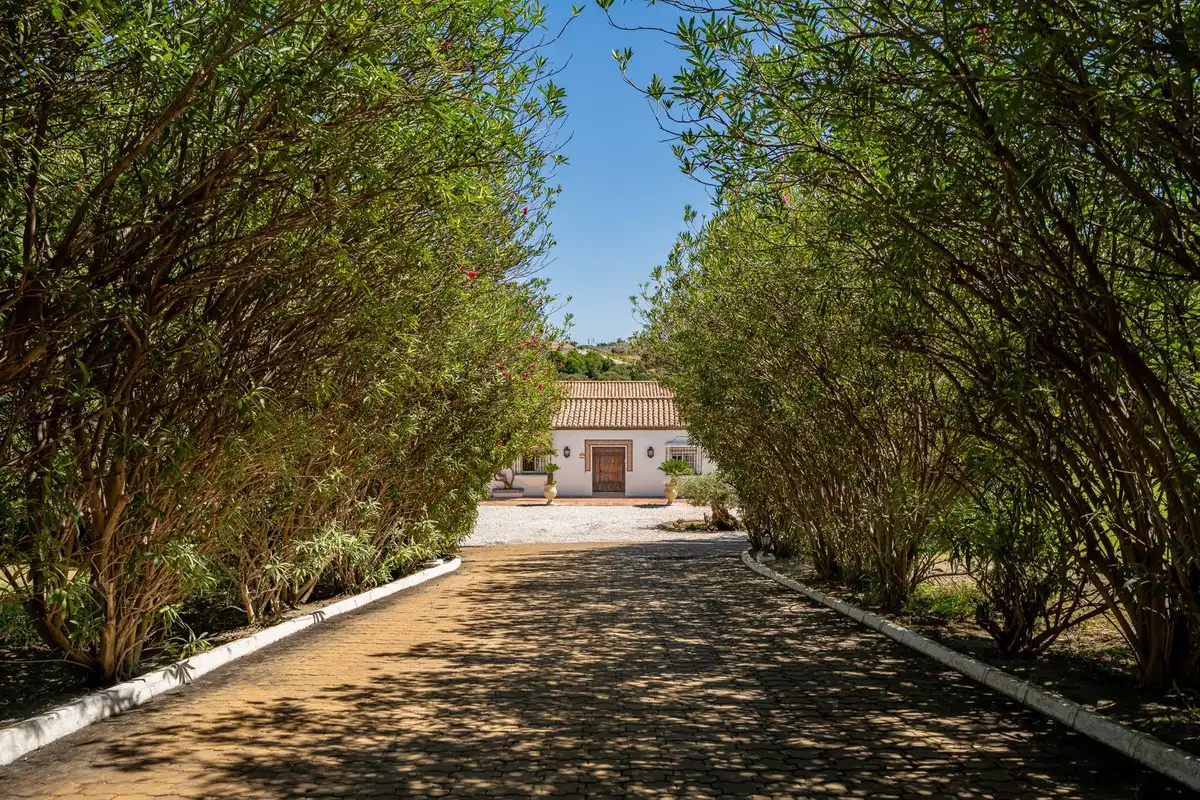 Casa rústica en venta en Benamara - Atalaya, imagen 3