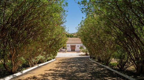 Photo 3 of Country homes for sale in Cancelada, Estepona