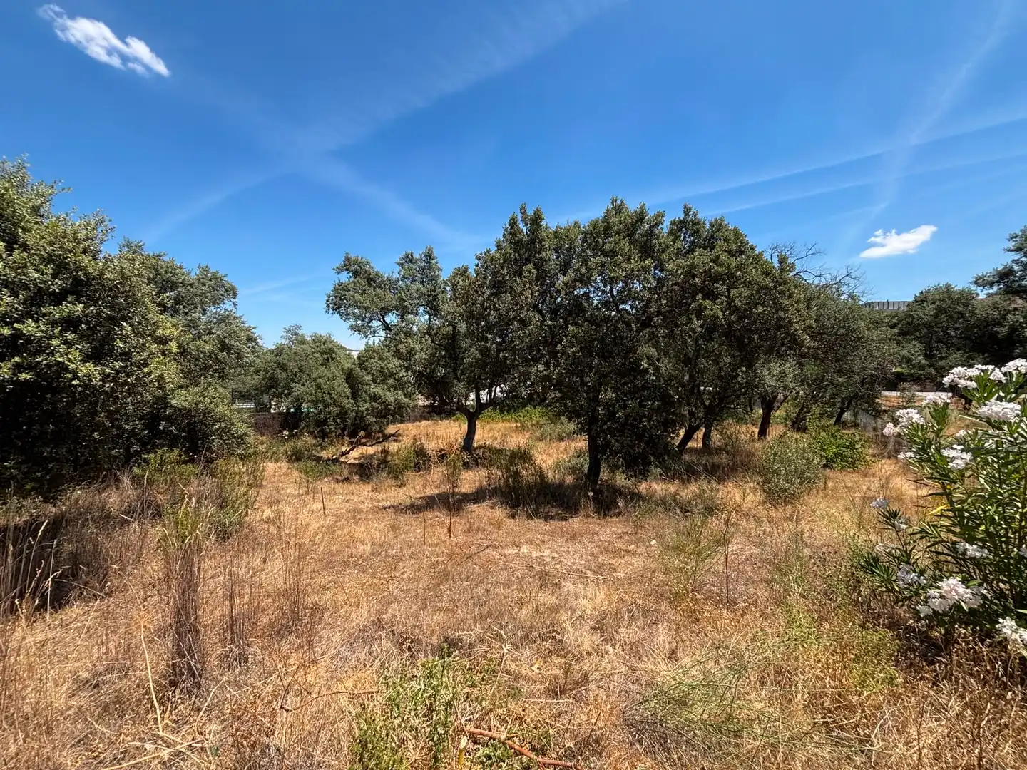 Residential land for sale in Paseo del Perú, imagen 14