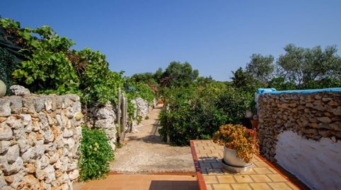 Foto 4 de Finca rústica en venta en Sant Lluís - S'Ullestrar - Torret, Sant Lluís