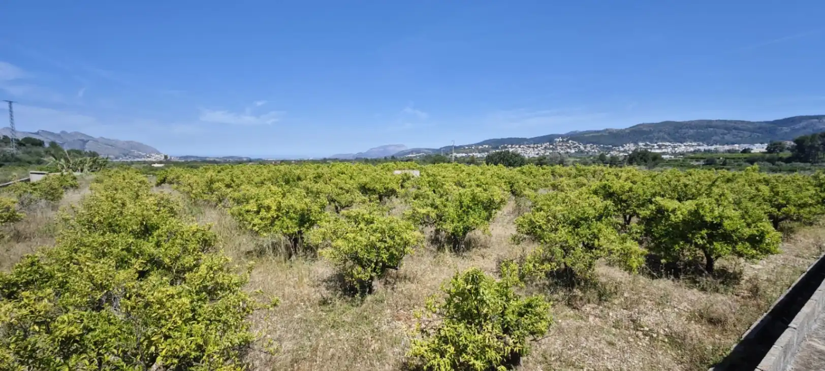 Residential land for sale in Tormos, imagen 14