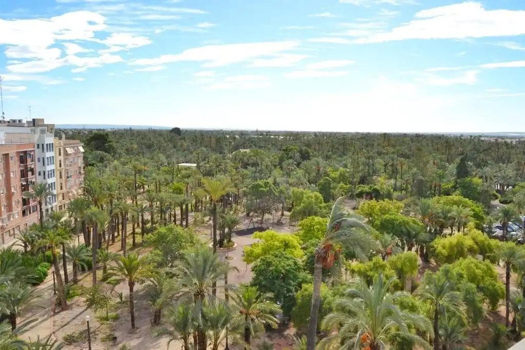Garten von Dachboden zum Verkauf in Elche / Elx mit Terrasse
