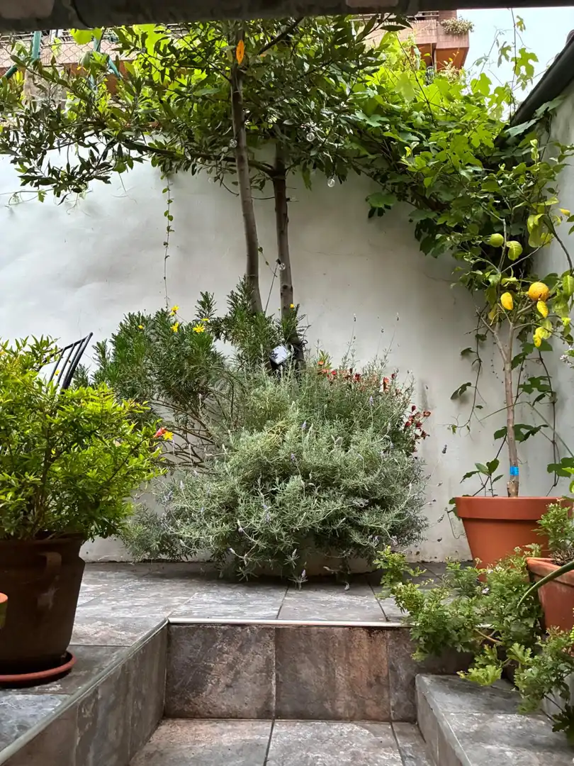 Terraza de Piso en venta en Santander con Calefacción, Parquet y Terraza
