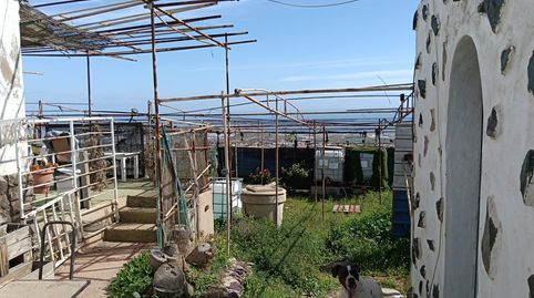 Finca en venta, El Sequero, Ingenio, immagine 2