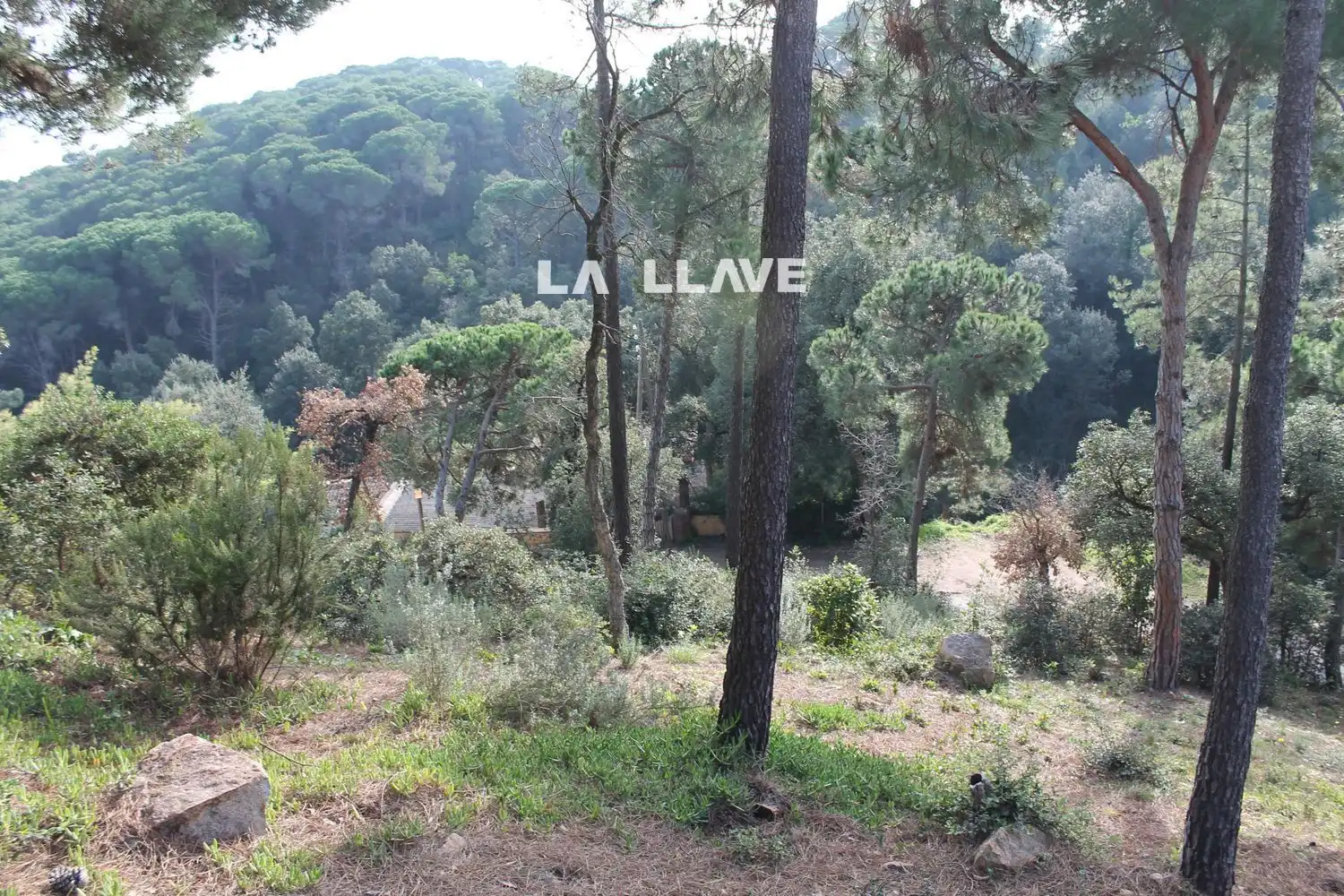 Casa o xalet en venda en Lloret de Mar amb Terrassa i Traster
