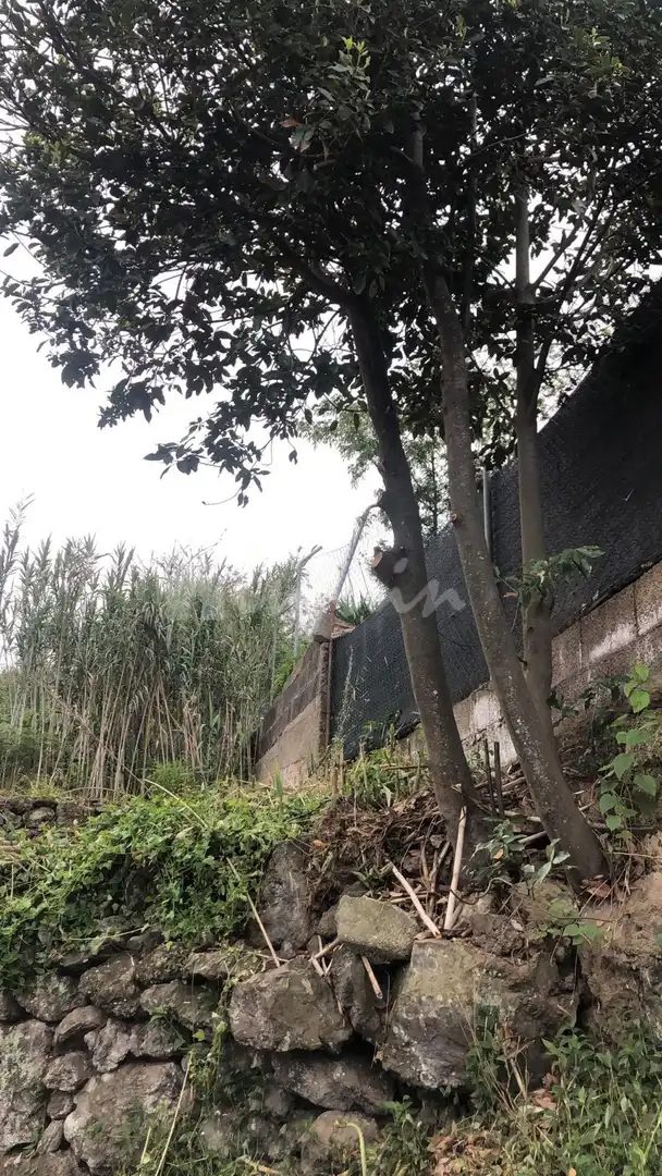 Außenansicht von Residential zum Verkauf in Santiago del Teide