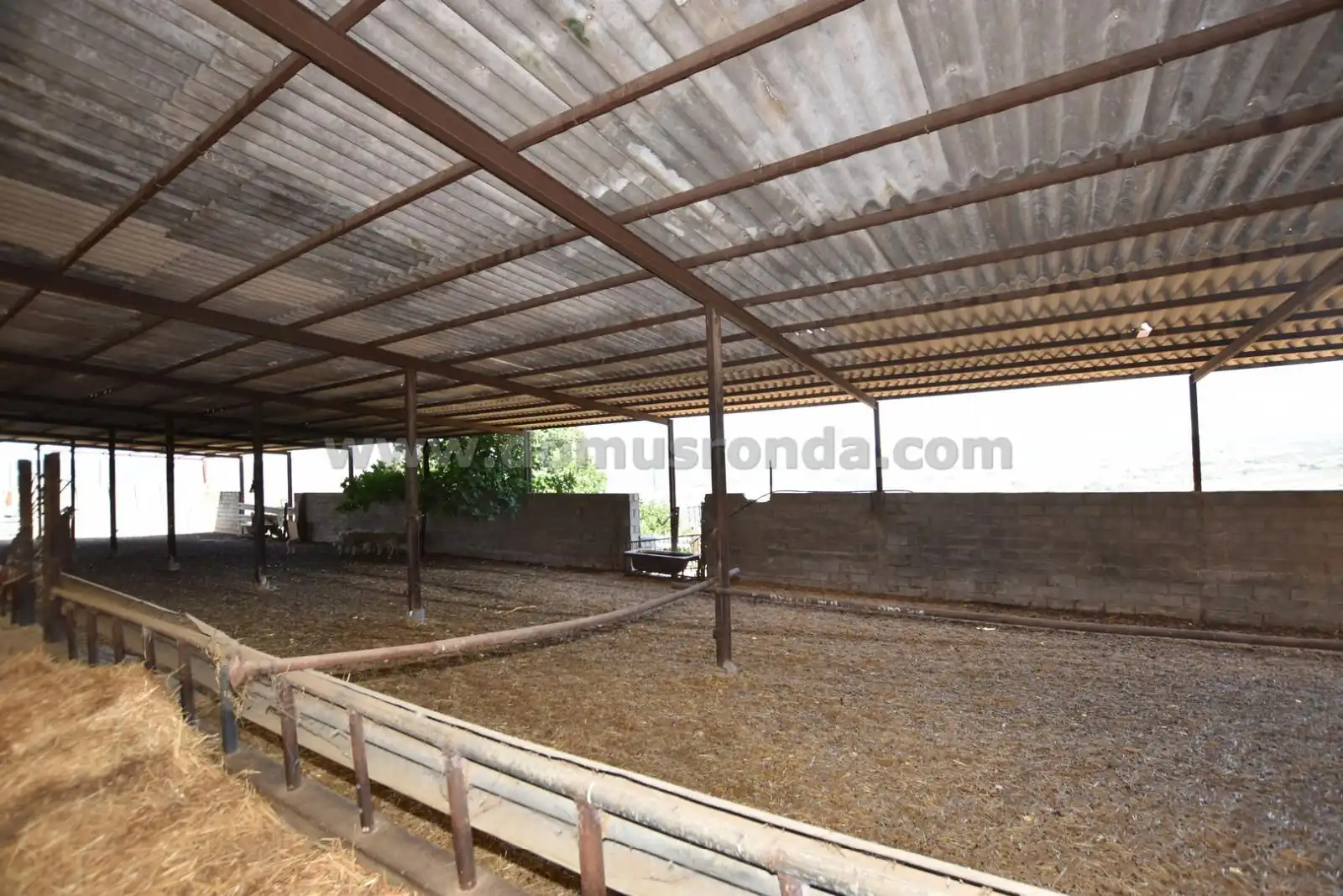 Vista exterior de Finca rústica en venda en Ronda amb Terrassa i Traster