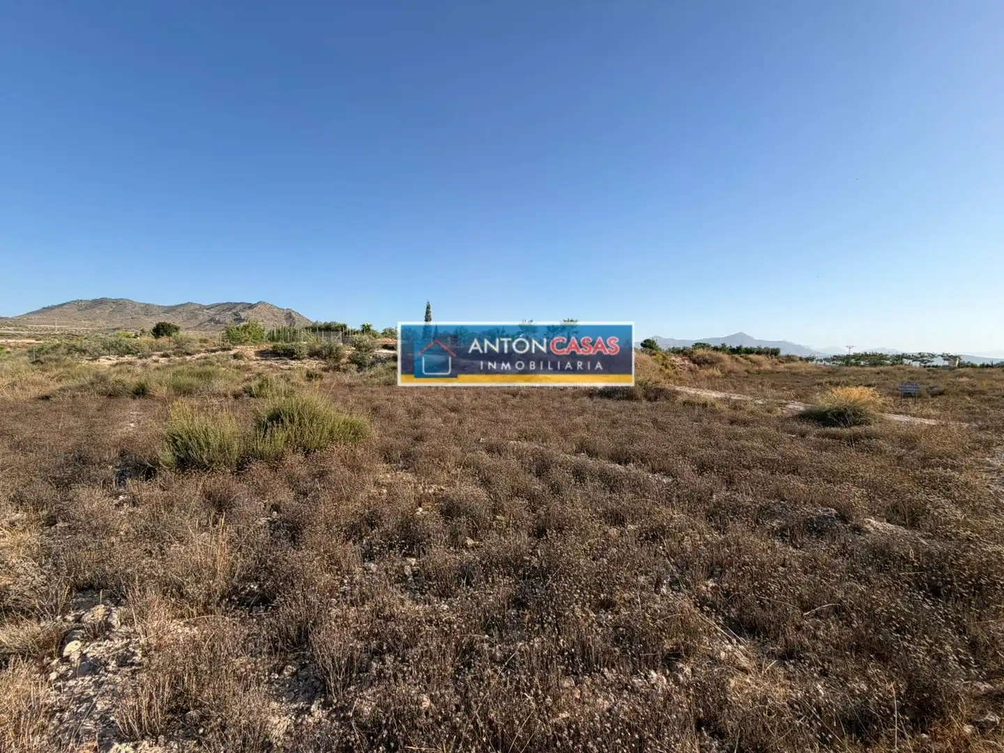 Rural land for sale in Novelda, imagen 11