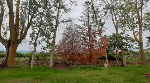 Photo 3 of House or chalet for sale in Diseminado Entrena, Entrena, La Rioja