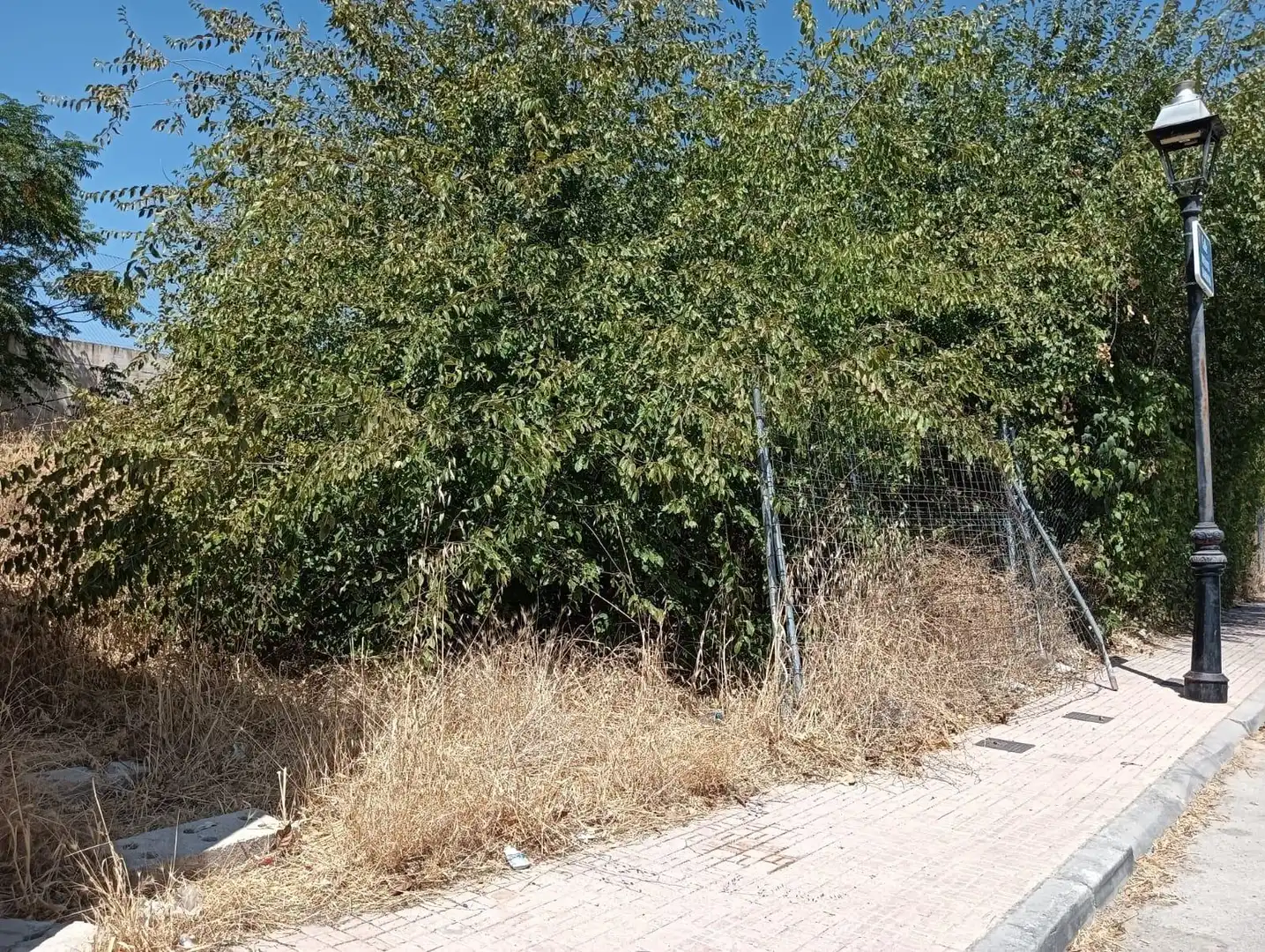 Terreni e lotti in vendita a Puente Tablas - Puente Nuevo - Cerro Molina, imagen 10