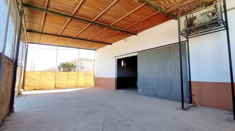 Photo 4 of Industrial buildings for sale in Pago Valdeconejos, Chipiona Norte, Cádiz