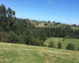 Terreny en venda en Villaviciosa