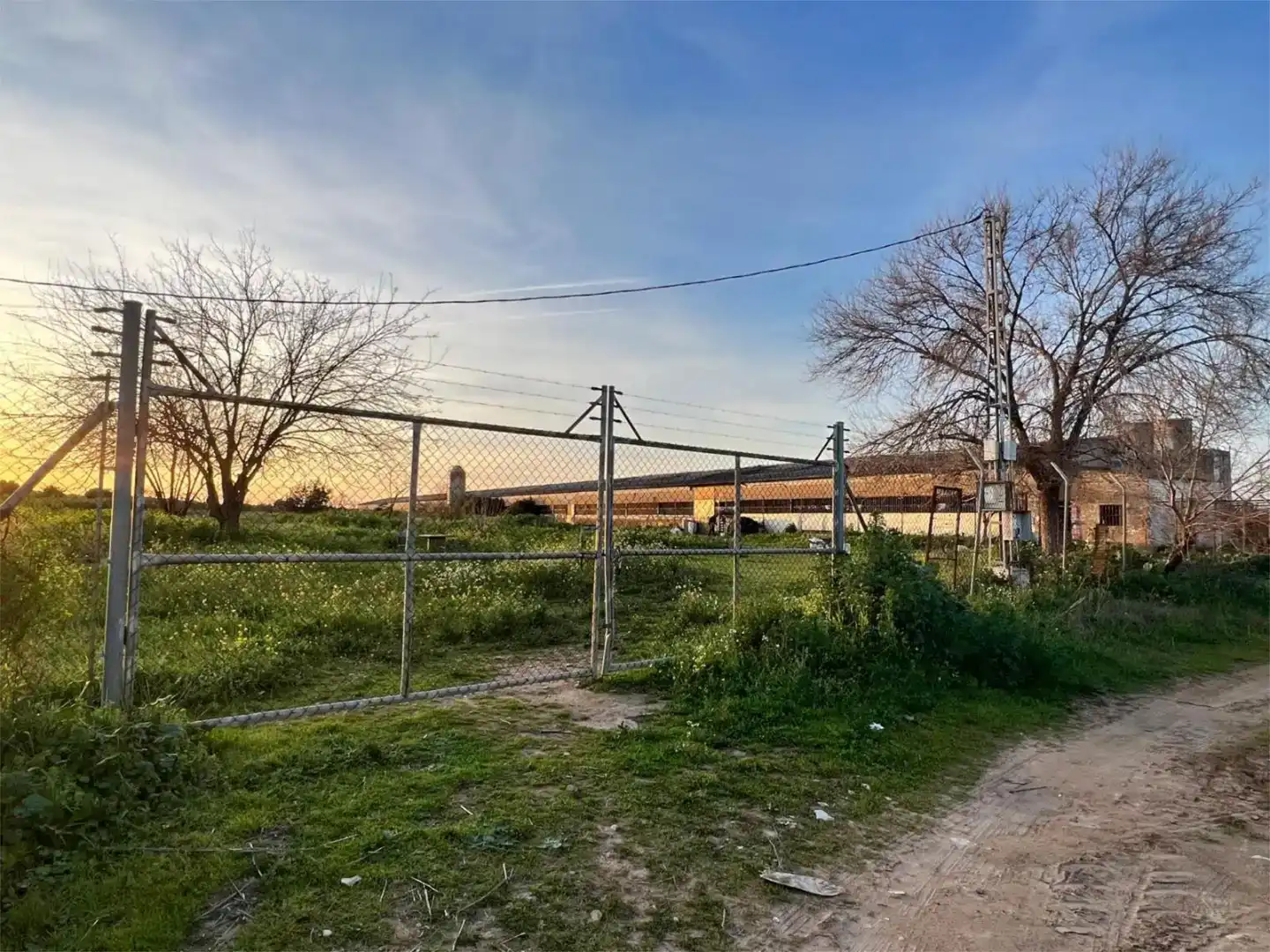 Terreno en venta en Benacazón