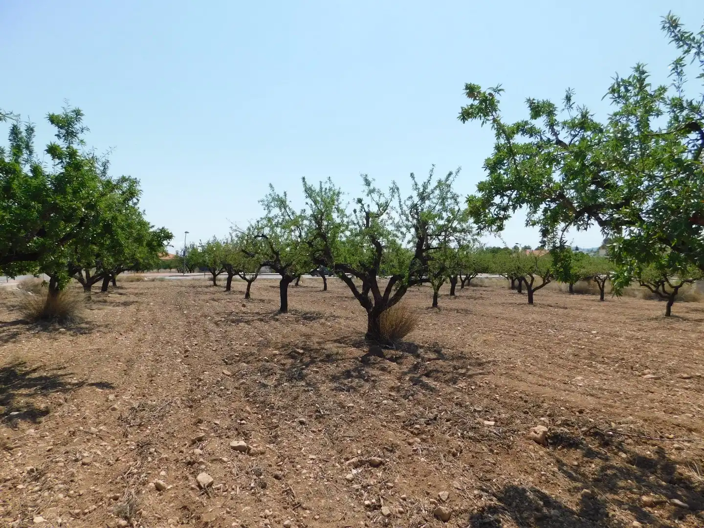 Residential land for sale in Carretera Carretera Llano de Béjar 5, imagen 9