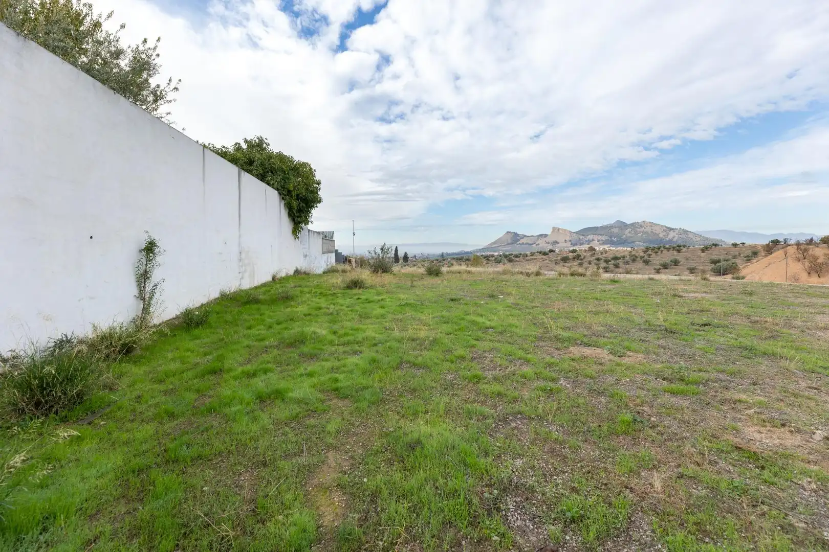 Wohnbaugrundstück zum Verkauf in Avenida de los Olivos 6C, imagen 21