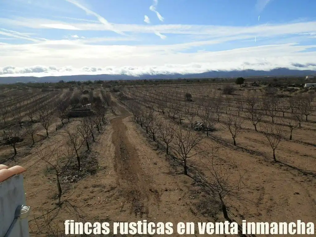 Terreno en venta en Mora