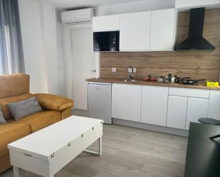 Cuina de Apartament de lloguer en Plasencia amb Aire condicionat, Calefacció i Moblat