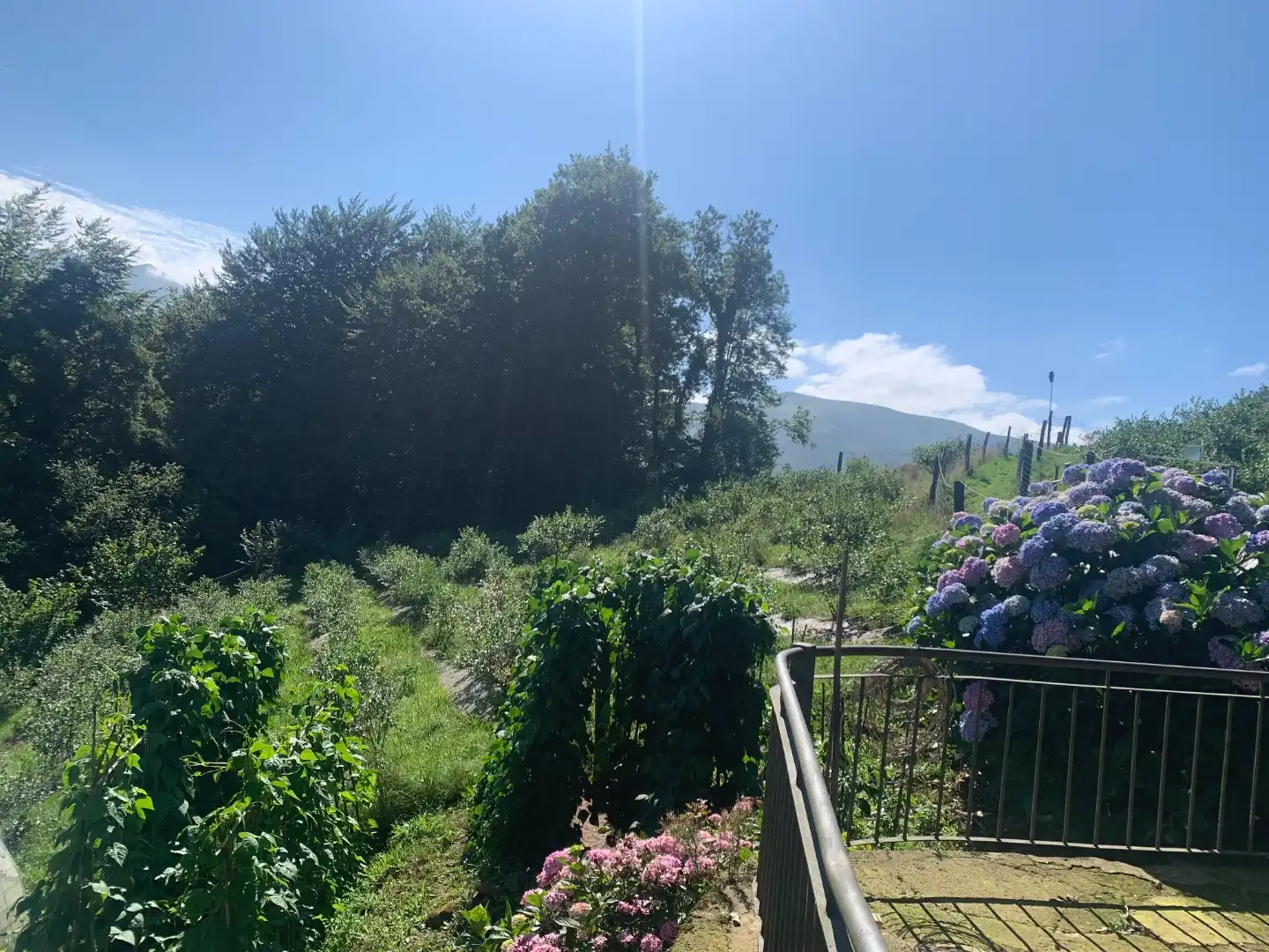 Garden of Land for sale in Vega de Pas