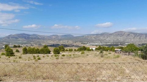 TERRENO RÚSTICO DE 40.000 M2 DE PARCELA EN CAMARA CON AGUA EN ELDA, image 5