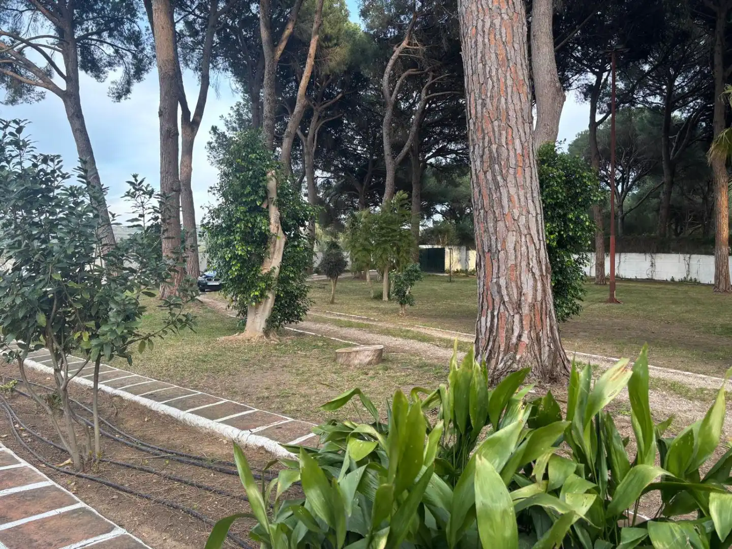 Casa rústica en venda a Arcos de la Frontera, imagen 43