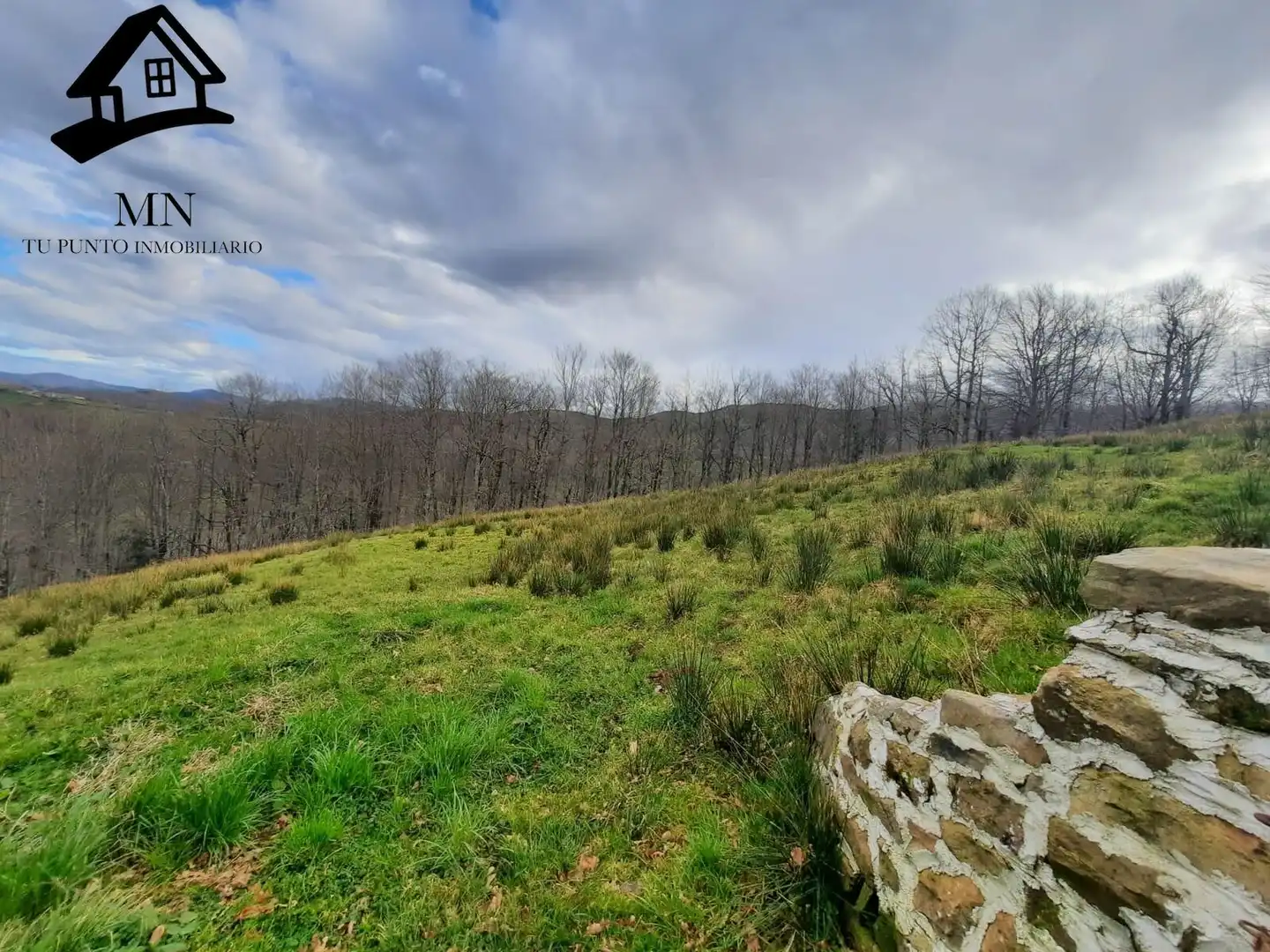 Finca rústica en venda en San Pedro del Romeral amb Jardí privat