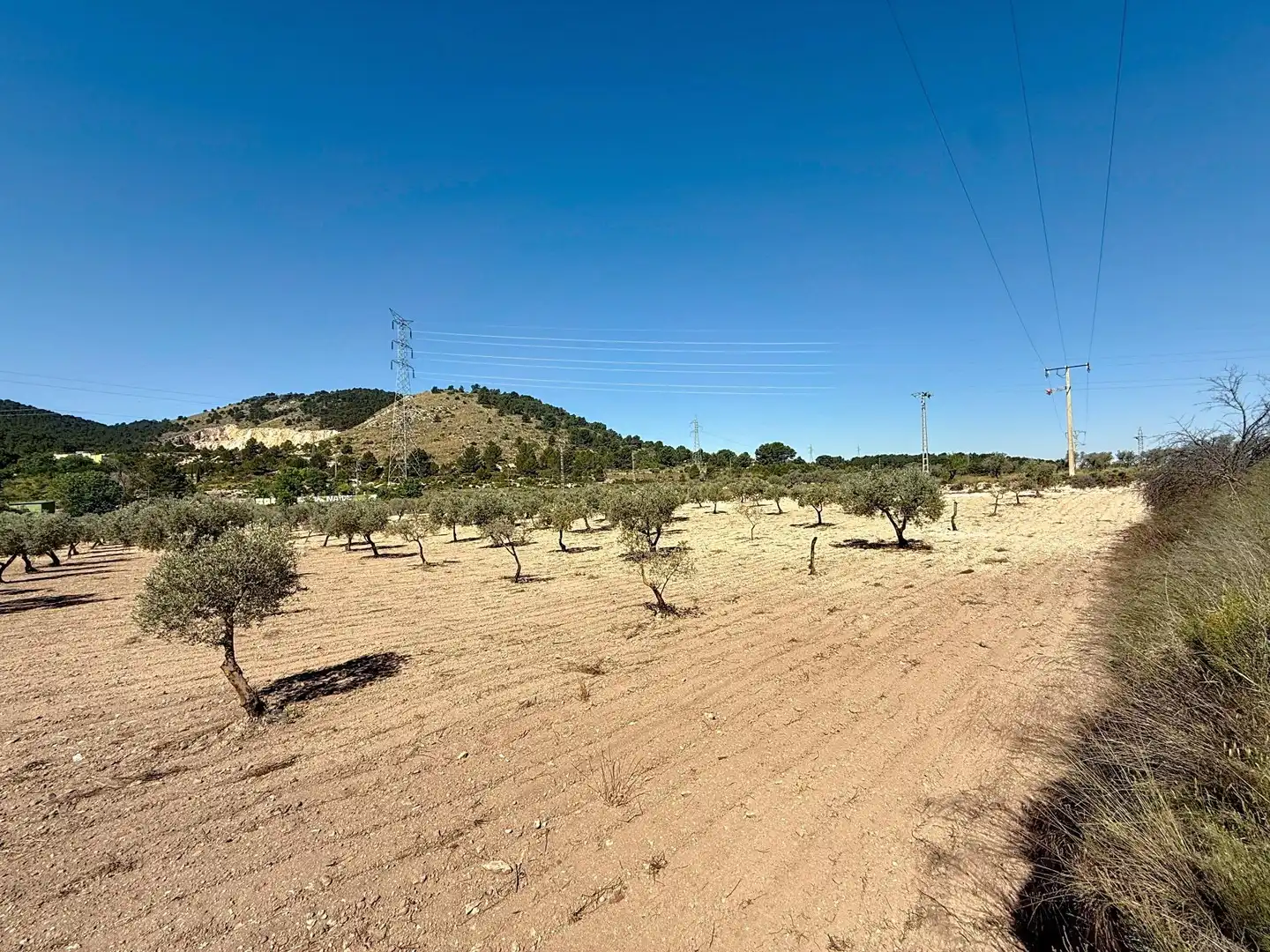 Terreno en venta en Biar