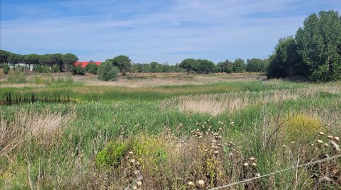 Foto 2 de Residencial en venda a 1 Parcela , Coreses, Zamora