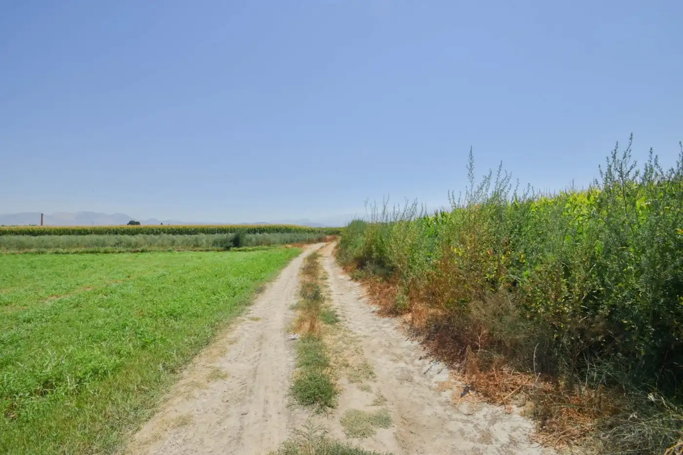 Rural land for sale in Camino PRADOS, imagen 7