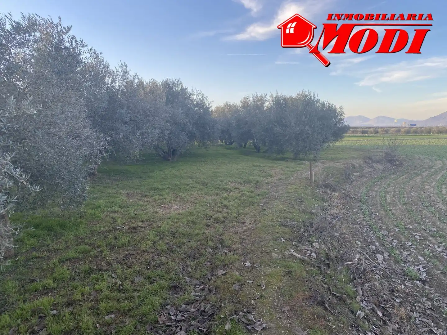 Terrenys i solars en venda a Belicena, imagen 8