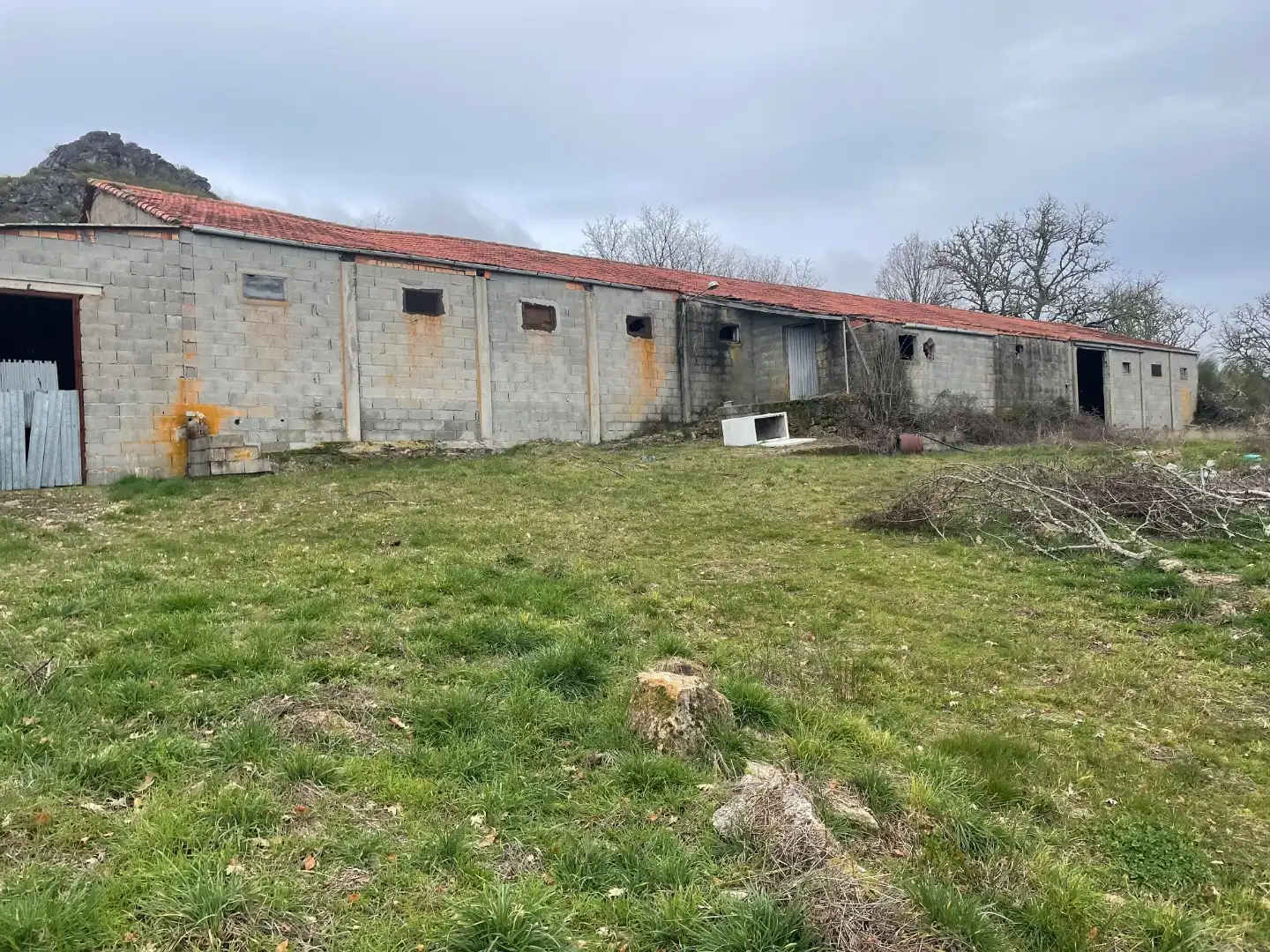 Land for sale in Baltar