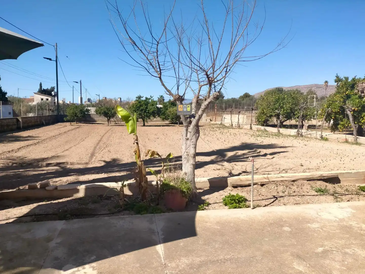 Finca rústica en venta en Juzgados - Plaza de Toros
