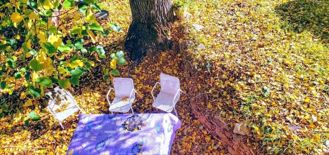 Jardí de Finca rústica en venda en San Nicolás del Puerto